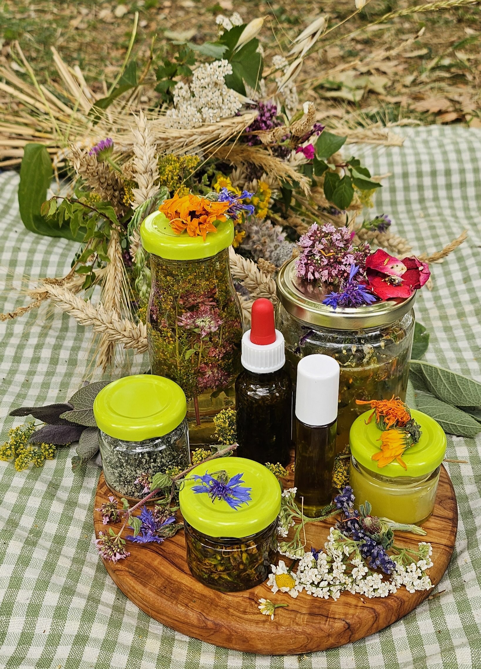 Kraeuterschaetze2025